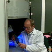 ���������� �����, ���� ������� Vladimir, 75 ���, ������������ ��� ������, ����� � ���������, c�������� ���������