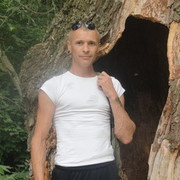  ,   Saxon, 49 ,   