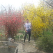 ���������� ���������, ���� ������� �������, 41 ���, ������������ 