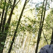 ���������� ��������, ���� ������� ����������, 44 ����, ������������ ��� ������, ����� � ���������, c�������� ���������