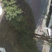  ,   , 36 ,     , c 