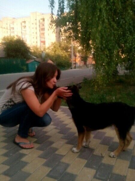 ���������� ���������, ���� ������� �����, 46 ���, ������������ ��� ������, ����� � ���������, c�������� ���������