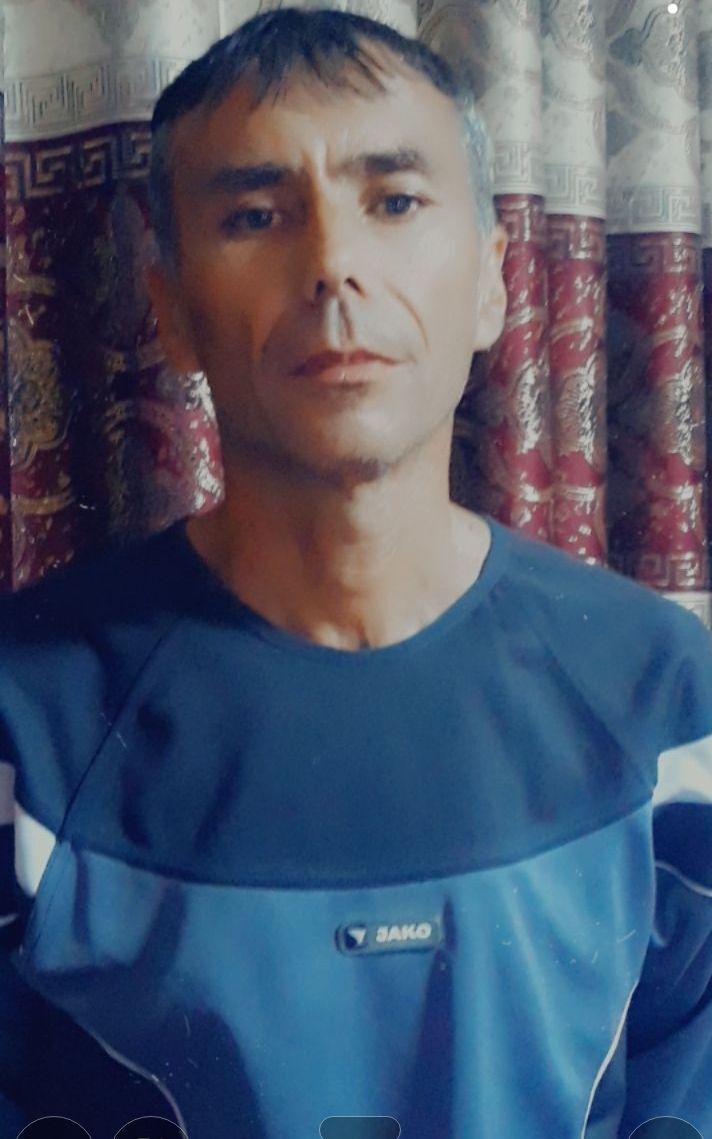 23713032  , 50 ,    