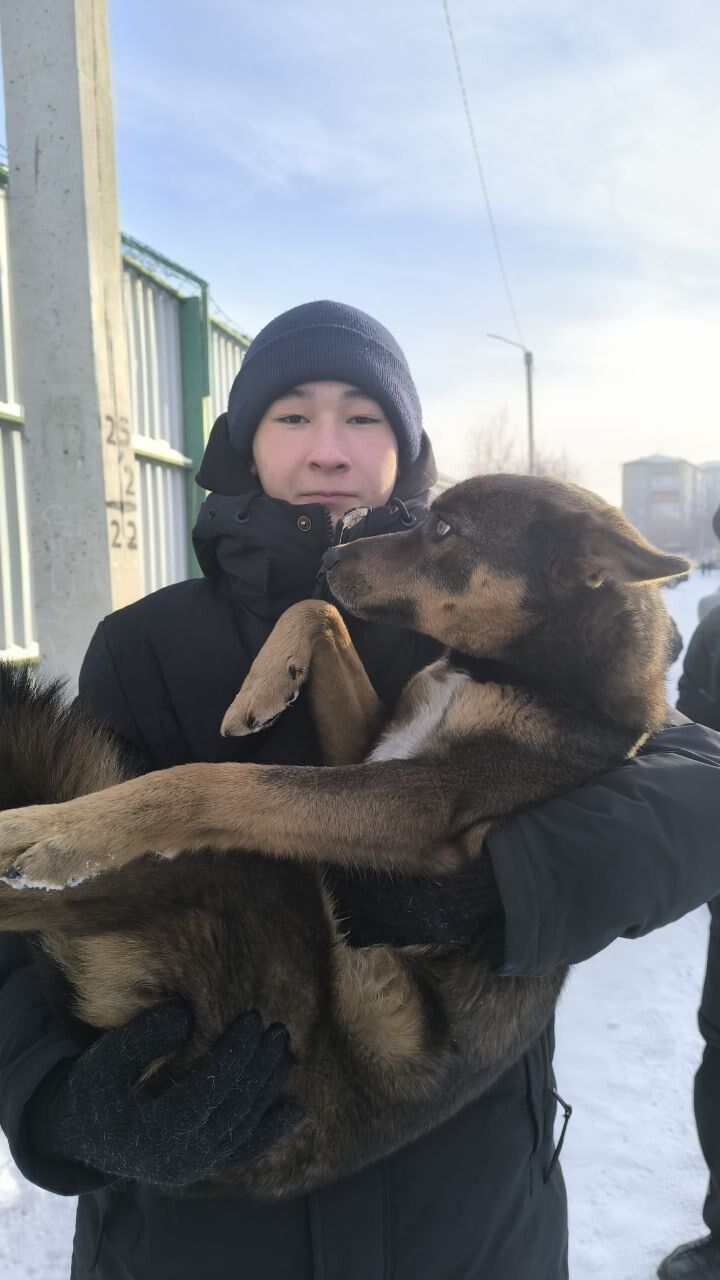 ���� 49764122 ������� ���� �����, 20 ���, ���� ���������� � ������