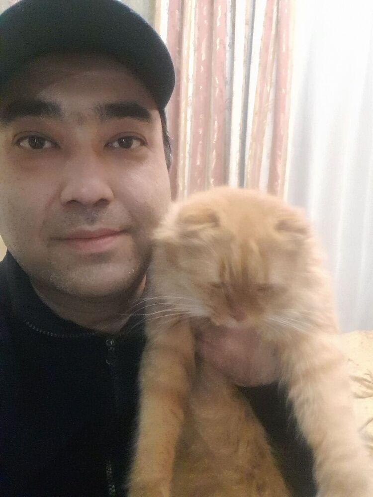 ���� 55102332 ������� Timic, 36 ���, ���� ���������� � ��������