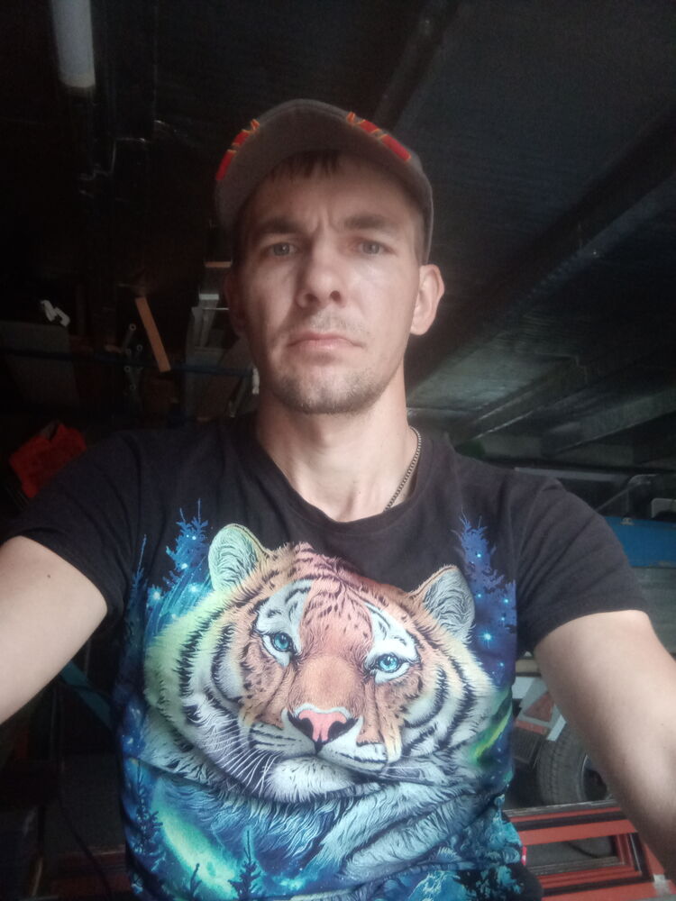  34133682  , 37 ,    
