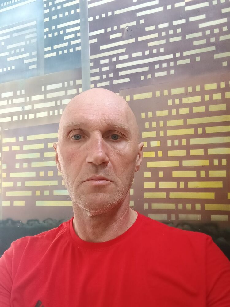  44642192  , 46 ,    