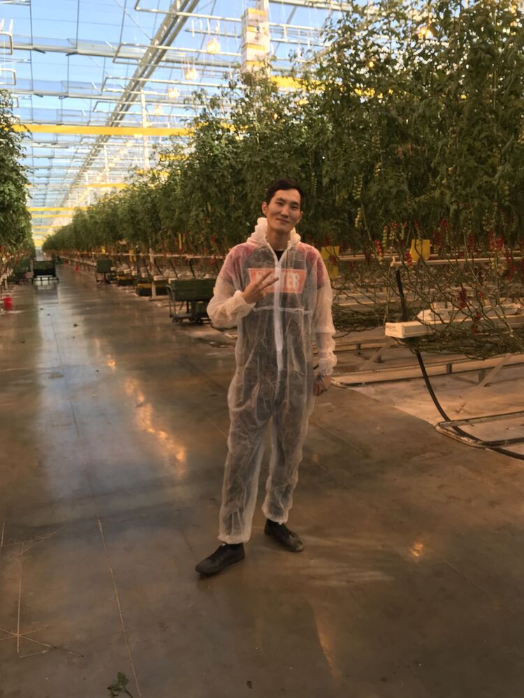 ���� 25260452 ������� ����, 31 ���, ���� ���������� � ������