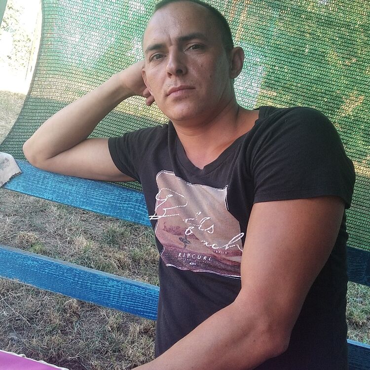  28250292  , 41 ,    