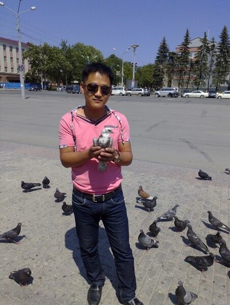  7634252  , 41 ,    -