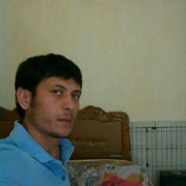  ,   TIGR, 38 ,  