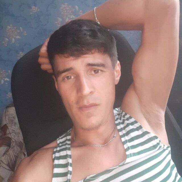  46362922  , 31 ,    