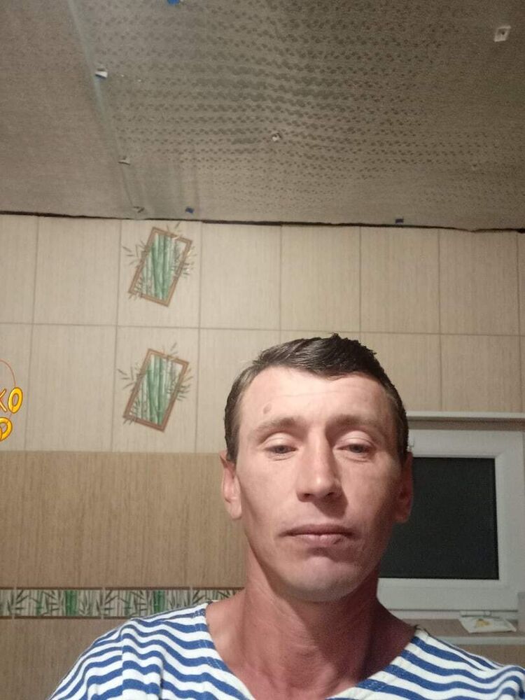  41191652  , 38 ,    