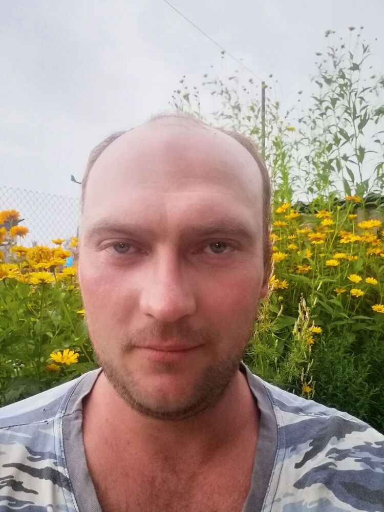  53892242  , 31 ,    