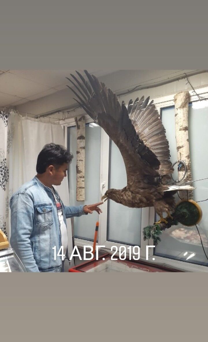 ���������� ��������, ���� ������� ����, 37 ���, ������������ ��� ������, ����� � ���������, c�������� ���������