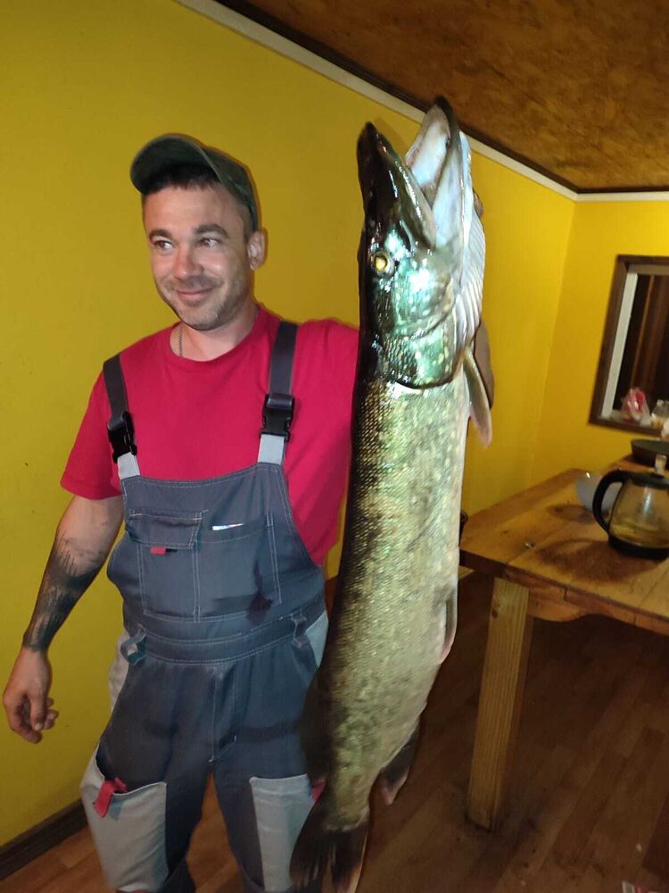 ���� 46547132 ������� ����, 38 ���, ���� ���������� � �����-����������