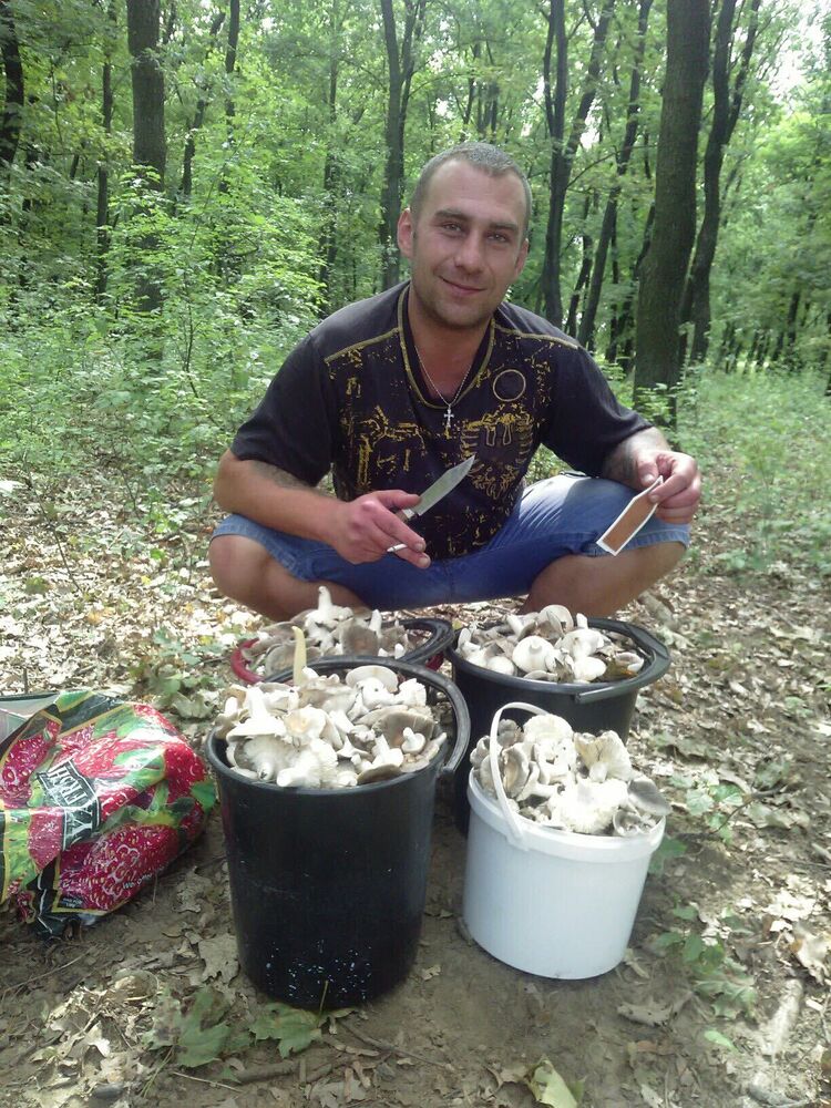 ���������� �������, ���� ������� �������, 44 ����, ������������ ��� ������, ����� � ���������, ���������