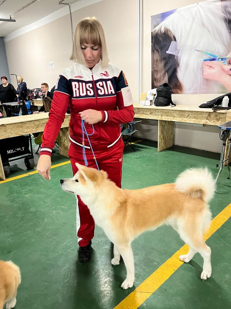  54732652  Mari, 53 ,    