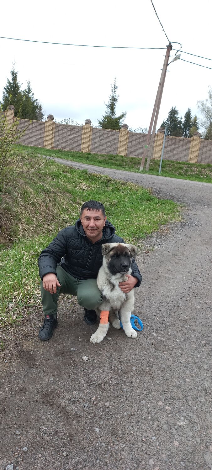 ���������� �����-���������, ���� ������� ���, 49 ���, ������������ ��� ������, ����� � ���������