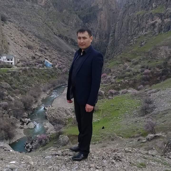  31358462  , 40 ,    