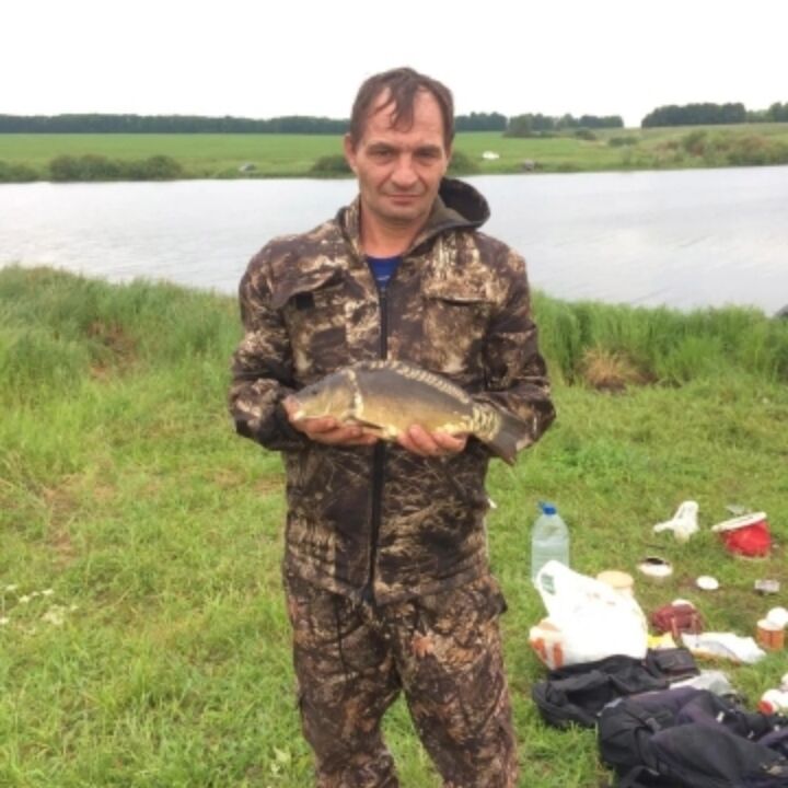  ,   , 54 ,  