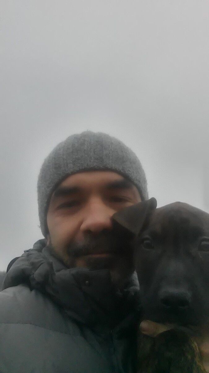  ,   , 51 ,   