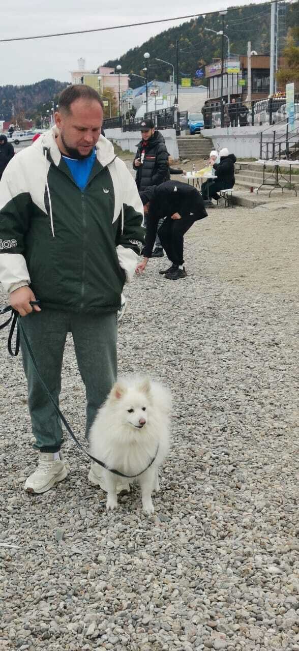 ���� 55404282 ������� ���������, 37 ���, ���� ���������� � ��������