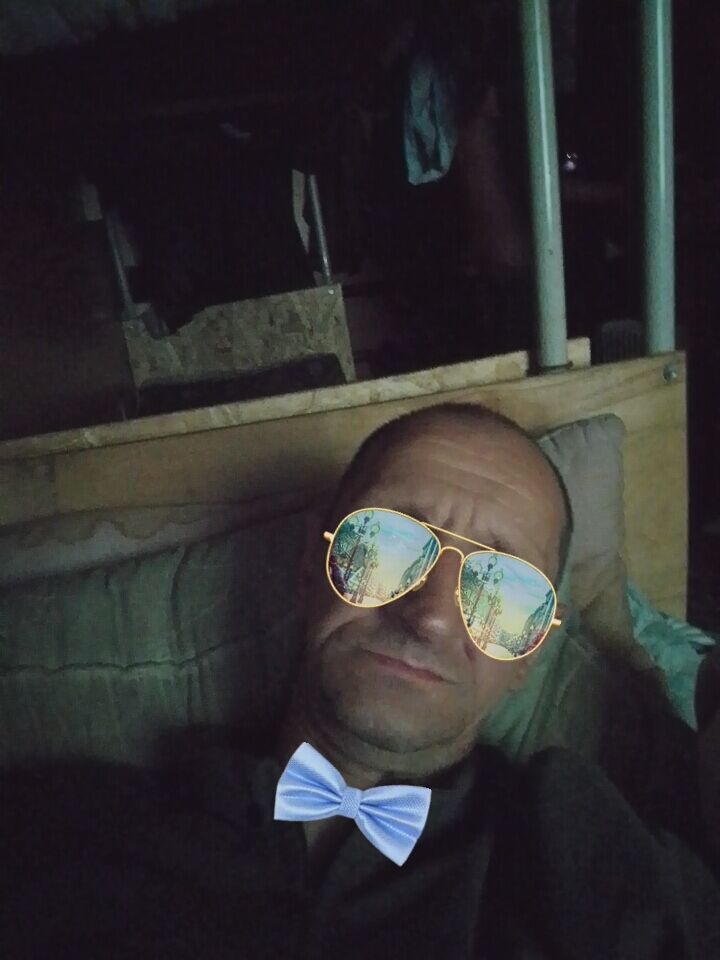  53169862  , 44 ,    