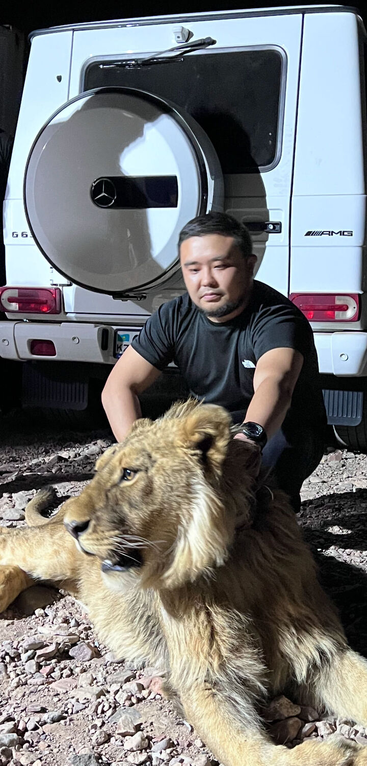 ���������� ������, ���� ������� ������, 36 ���, ������������ ��� ������, ����� � ���������