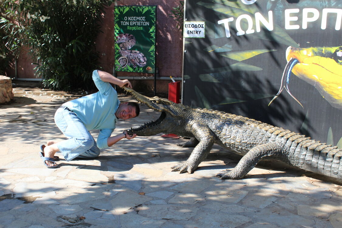 ���� 6223112 ������� ���������, 43 ����, ���� ���������� � ������