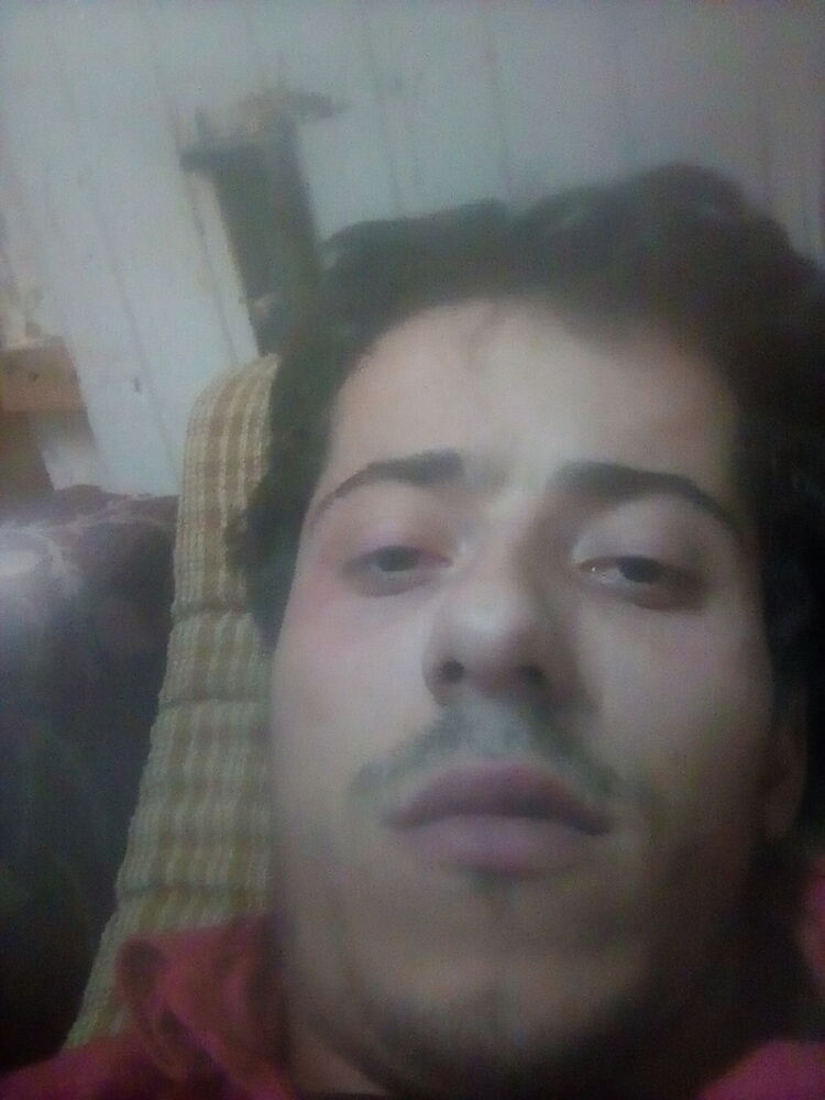  15046322  , 31 ,    