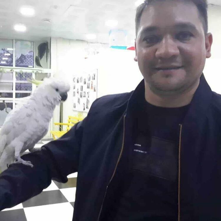 ���������� ������, ���� ������� ������, 34 ����, ������������ ��� ������, ����� � ���������, c�������� ���������, ���������