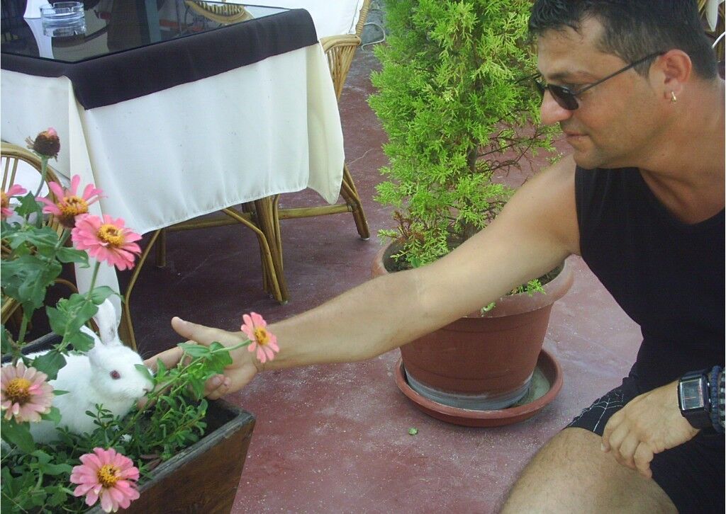  6499552  Kalabasterbg, 51 ,    Backa Topola