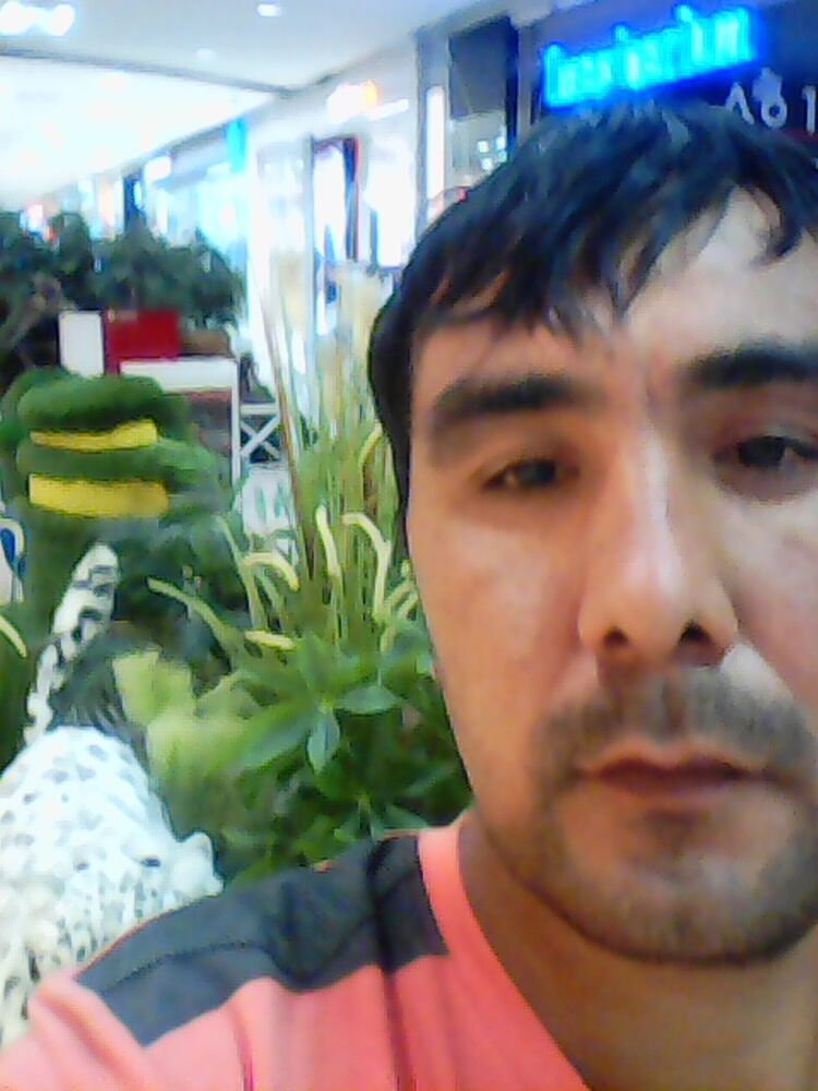 ���� 8049422 ������� ������, 44 ����, ���� ���������� � ������