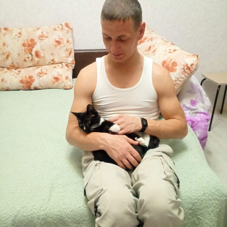 ���������� �����������, ���� ������� �������, 36 ���, ������������ ��� ������, ����� � ���������, c�������� ���������, ���������