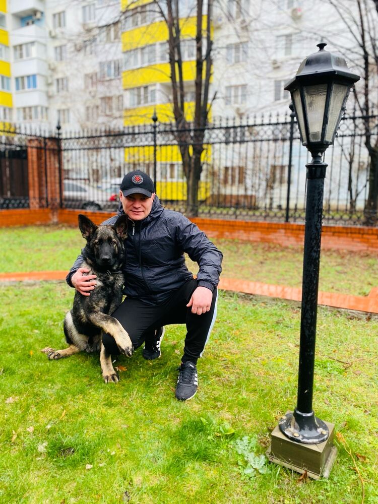 ���������� ����, ���� ������� �������, 38 ���, ������������ ��� ������, ����� � ���������