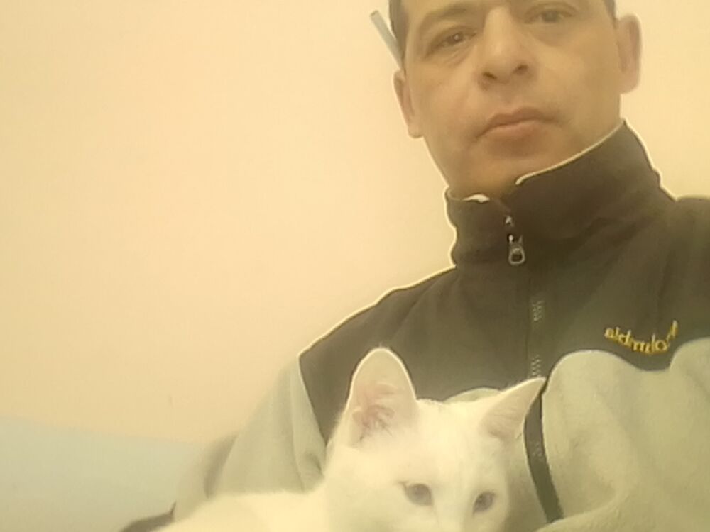 ���� 25051232 ������� ���������, 44 ����, ���� ���������� � ������-���