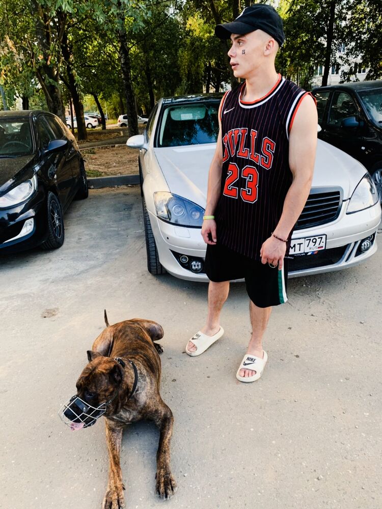 ���� 45088642 ����� �������, 23 ����, ���� ���������� � ���������