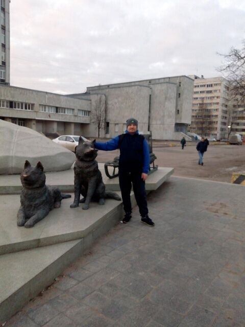  45058892  , 51 ,    -