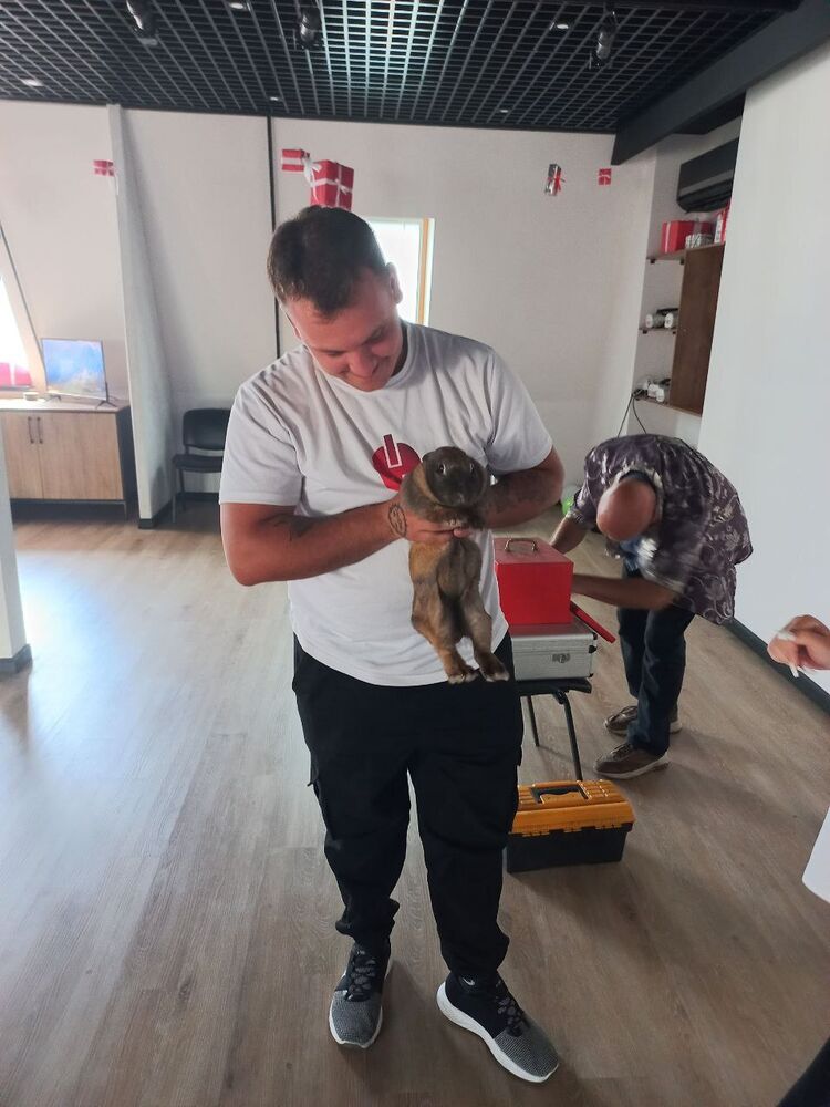 ���������� ������-��-����, ���� ����� ���������, 24 ����, ������������ ��� ������, ����� � ���������