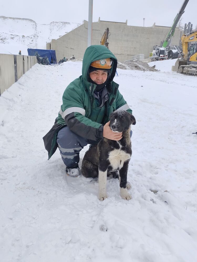 ���������� ������, ���� ������� �����, 40 ���, ������������ ��� ������, ����� � ���������