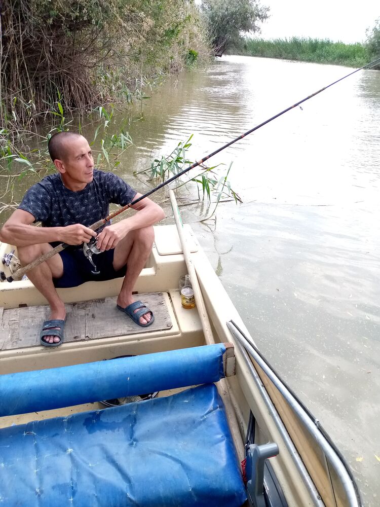 ���������� ���������, ���� ������� ������, 38 ���, ������������ ��� ������, ����� � ���������