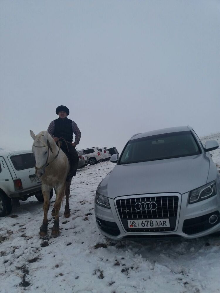 ���� 10896722 ������� ��773419419, 41 ���, ���� ���������� � �������