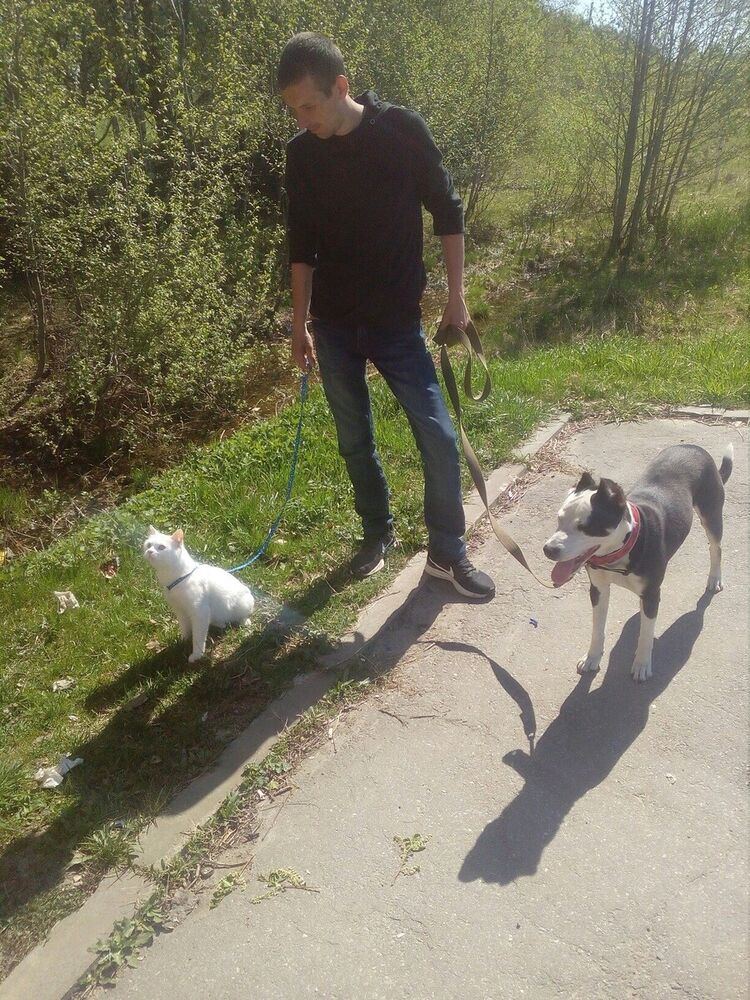 ���� 20888792 ������� ���, 39 ���, ���� ���������� � �����-����������