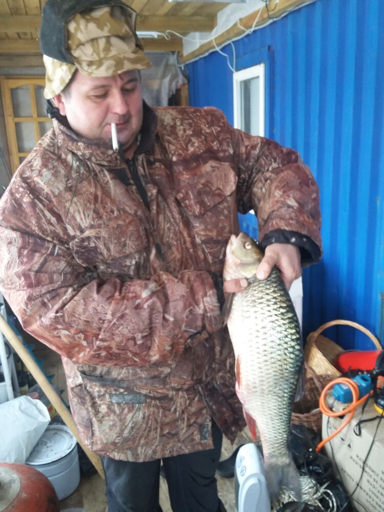   ,   , 52 ,   ,   