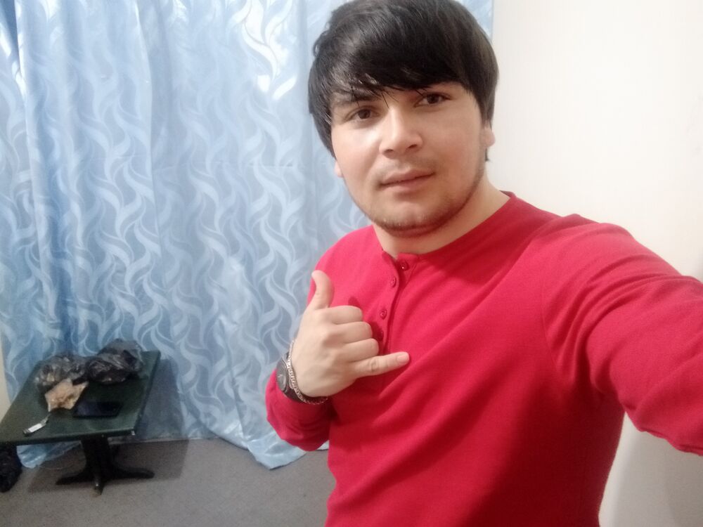  24574852  , 31 ,    