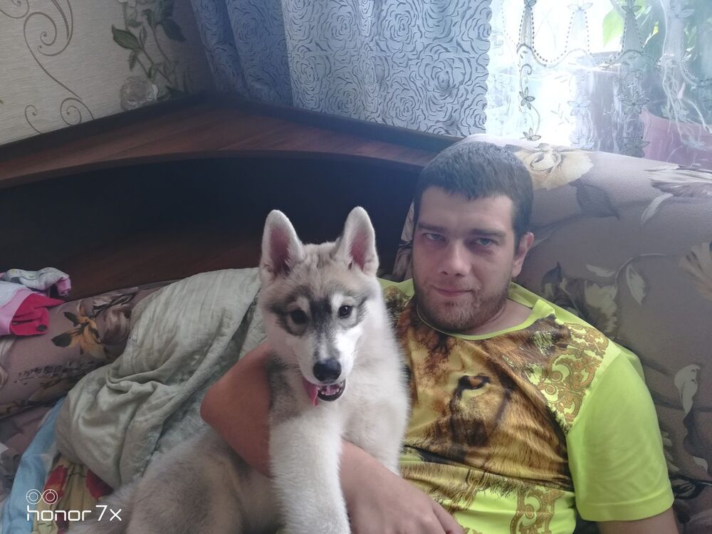 ���� 19112692 ������� ��������, 40 ���, ���� ���������� � ����������