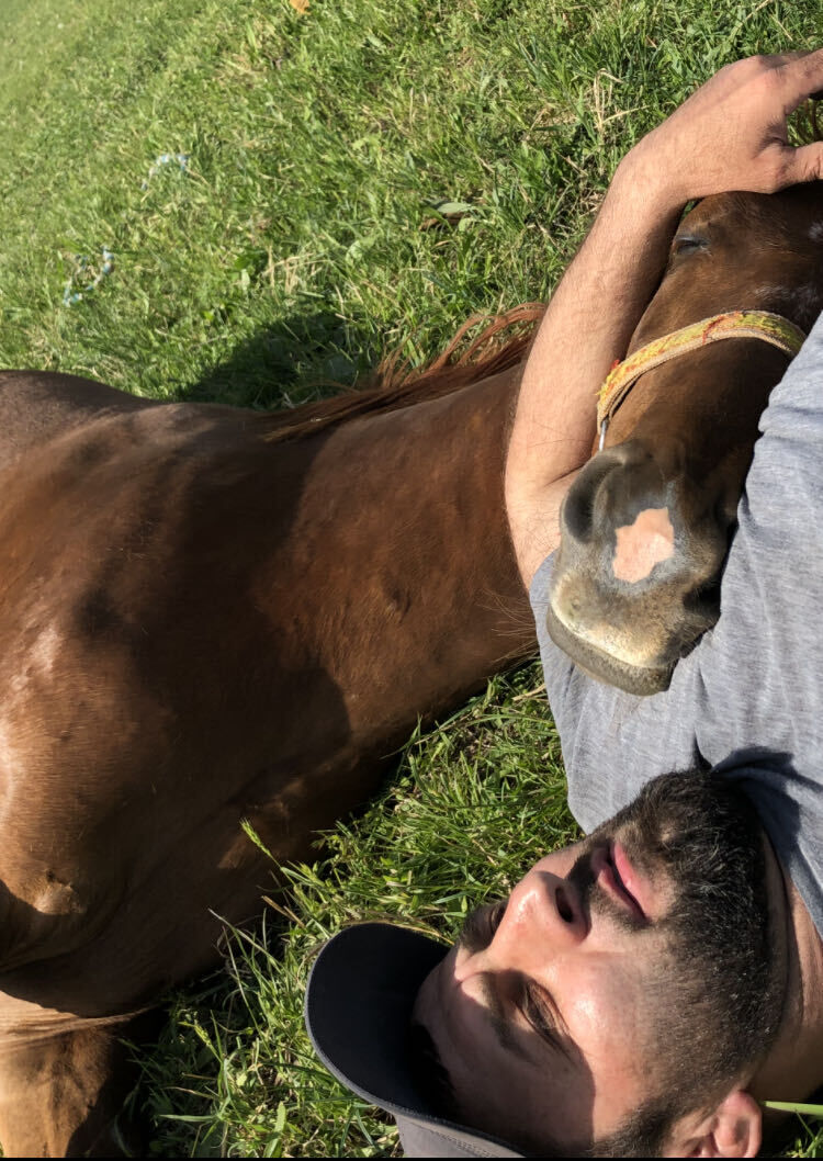 ���� 26099292 ������� �����, 40 ���, ���� ���������� � ���������