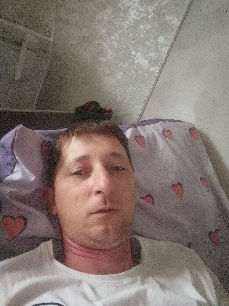  44287632  , 38 ,    