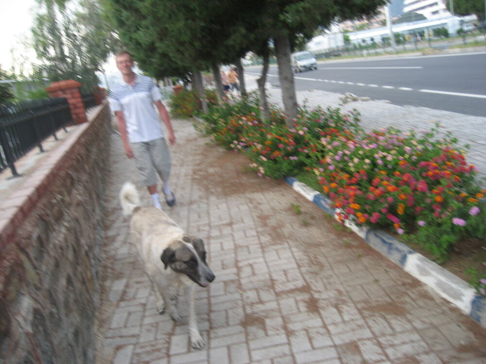 ���������� �����-���������, ���� ������� ����, 37 ���, ������������ ��� ������